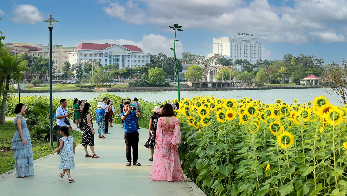 Đón nắng với hoa hướng dương vàng rực Công viên Văn Lang