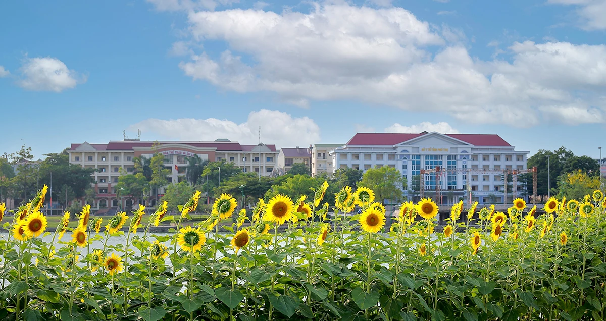 Đón nắng với hoa hướng dương vàng rực Công viên Văn Lang