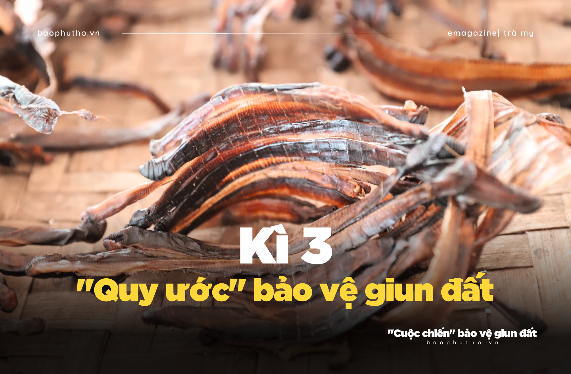 Kỳ 3: “Quy ước” bảo vệ giun đất