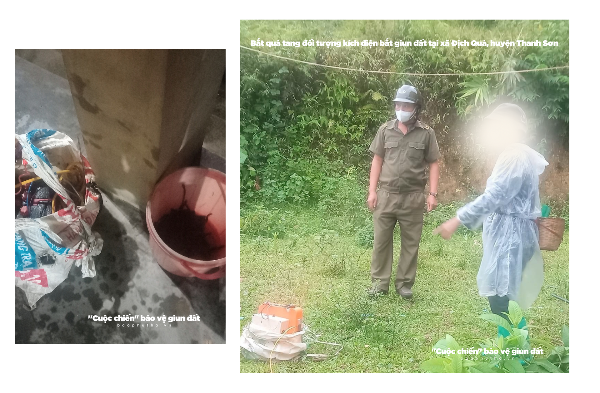 Kỳ 3: “Quy ước” bảo vệ giun đất