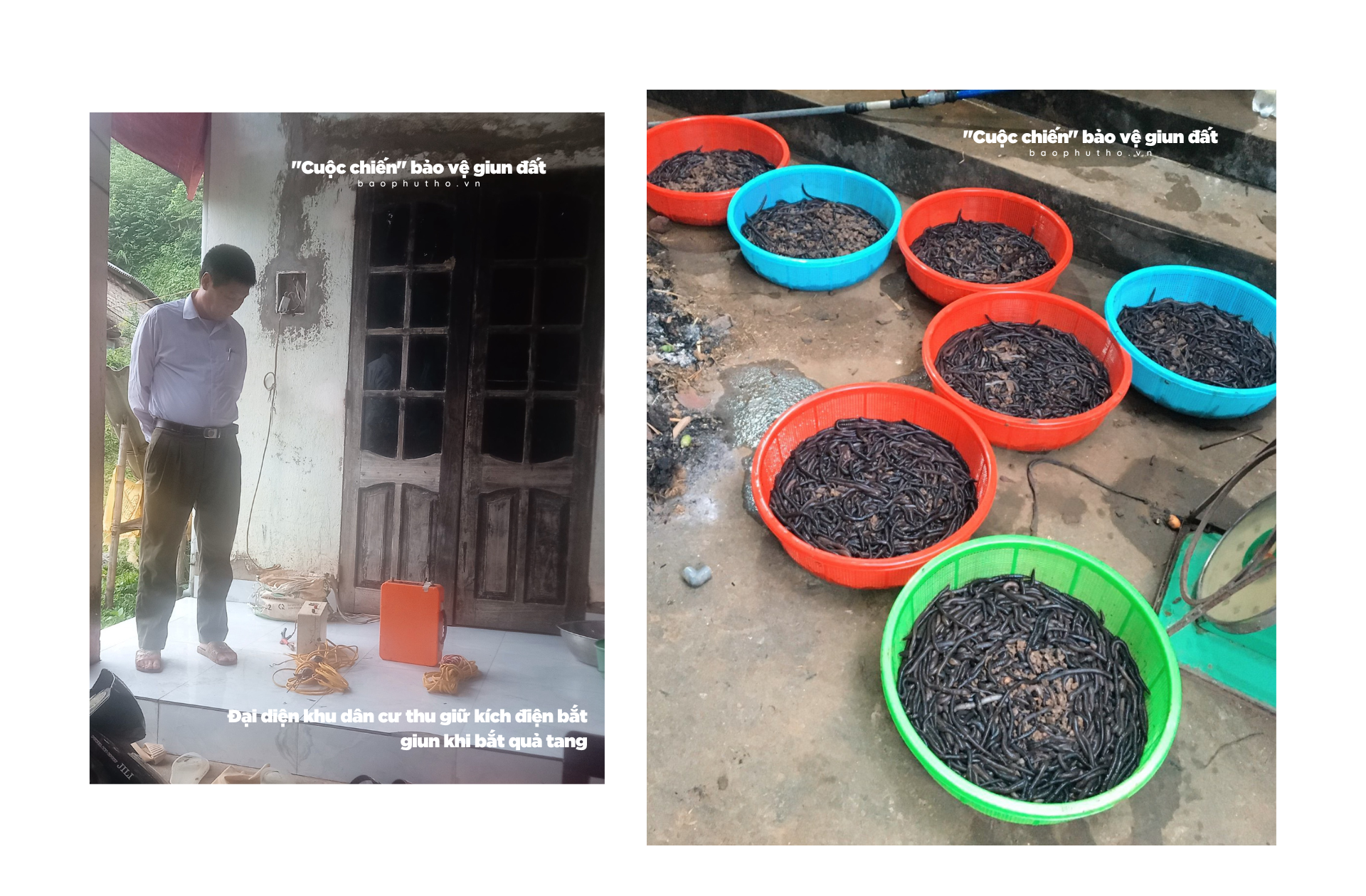 Kỳ 3: “Quy ước” bảo vệ giun đất