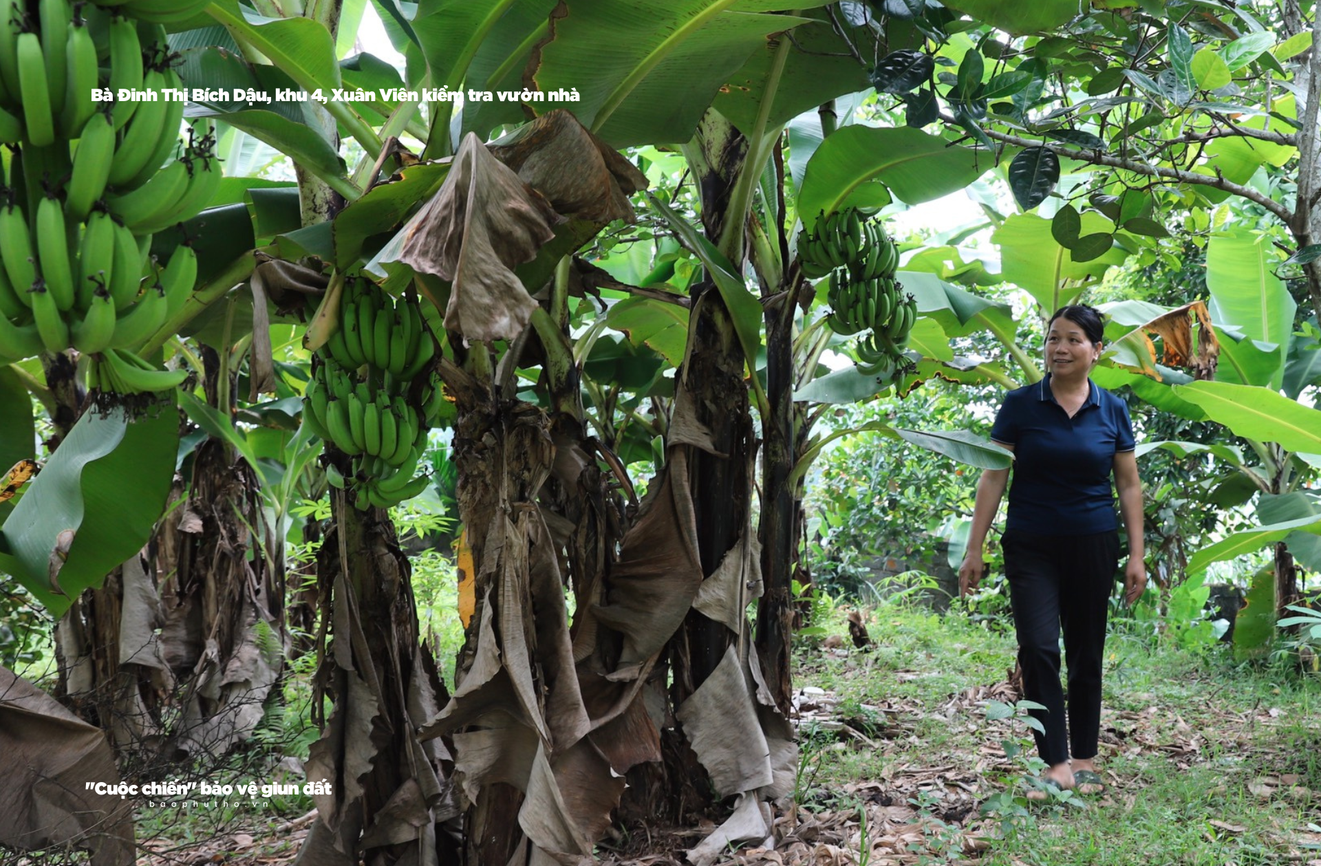 Kỳ 3: “Quy ước” bảo vệ giun đất