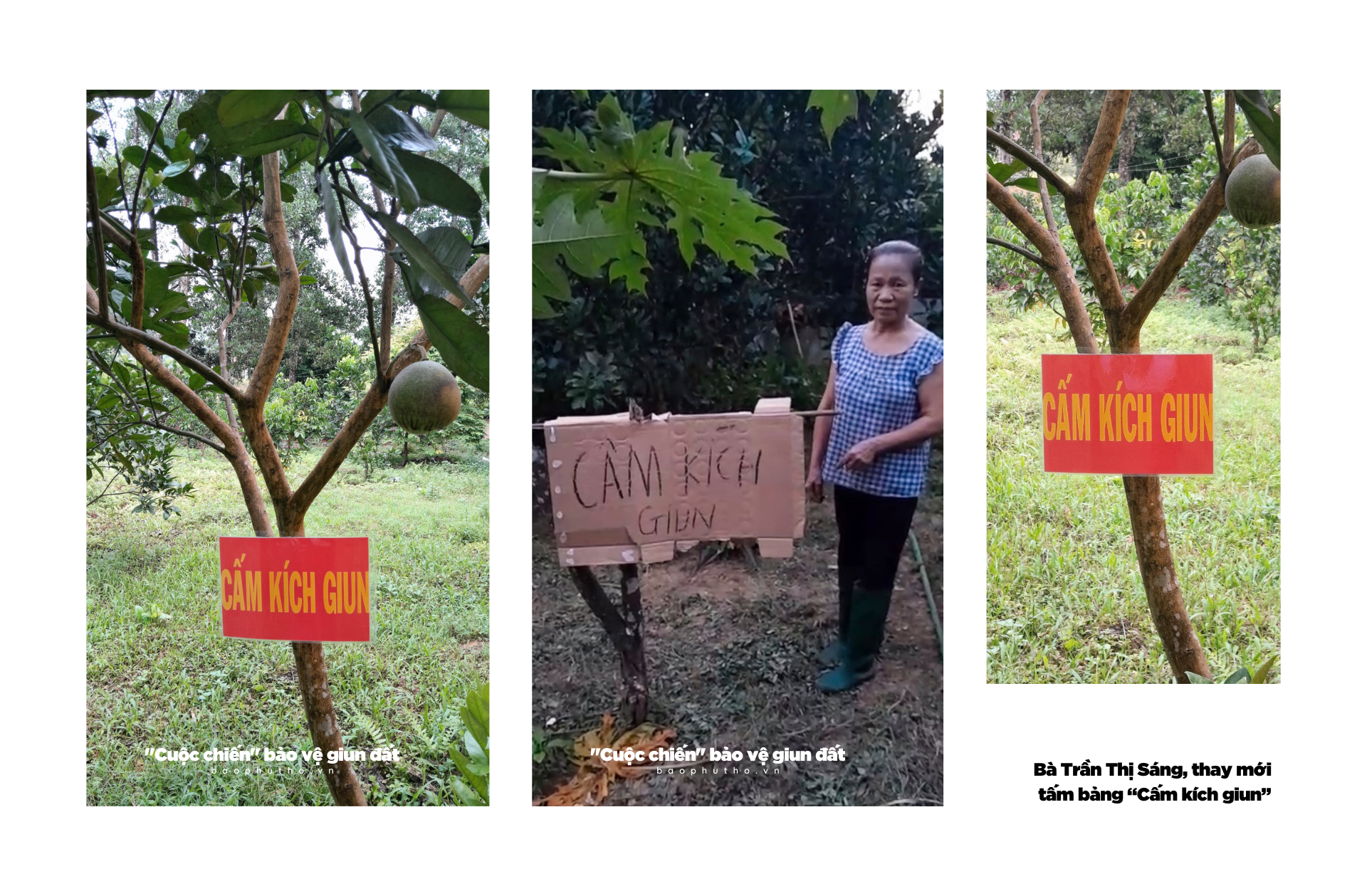 Kỳ 3: “Quy ước” bảo vệ giun đất