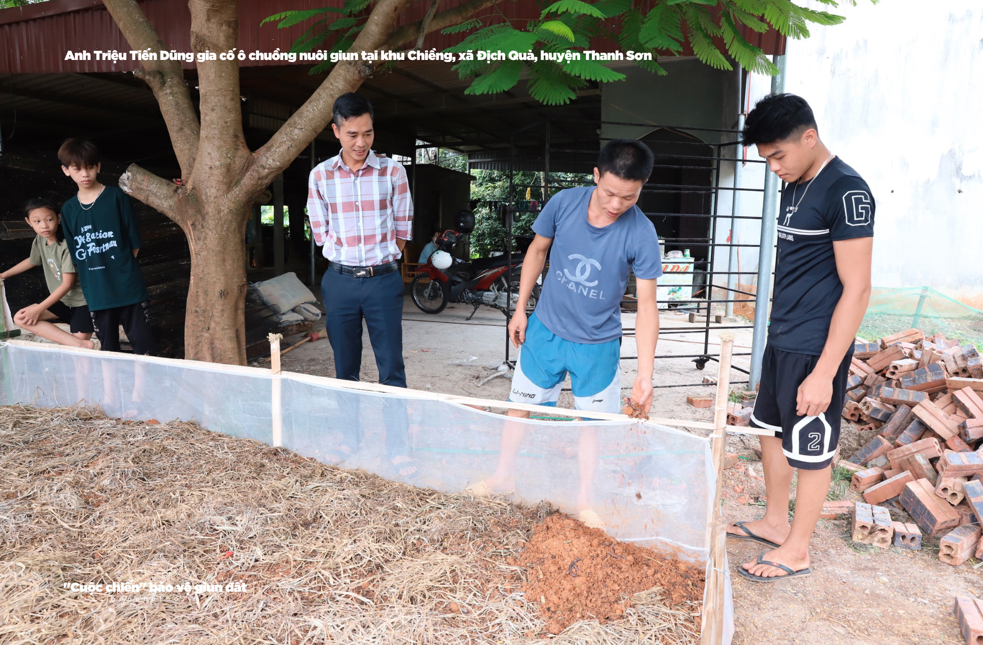 Kỳ 4: Cần có chế tài xử lý