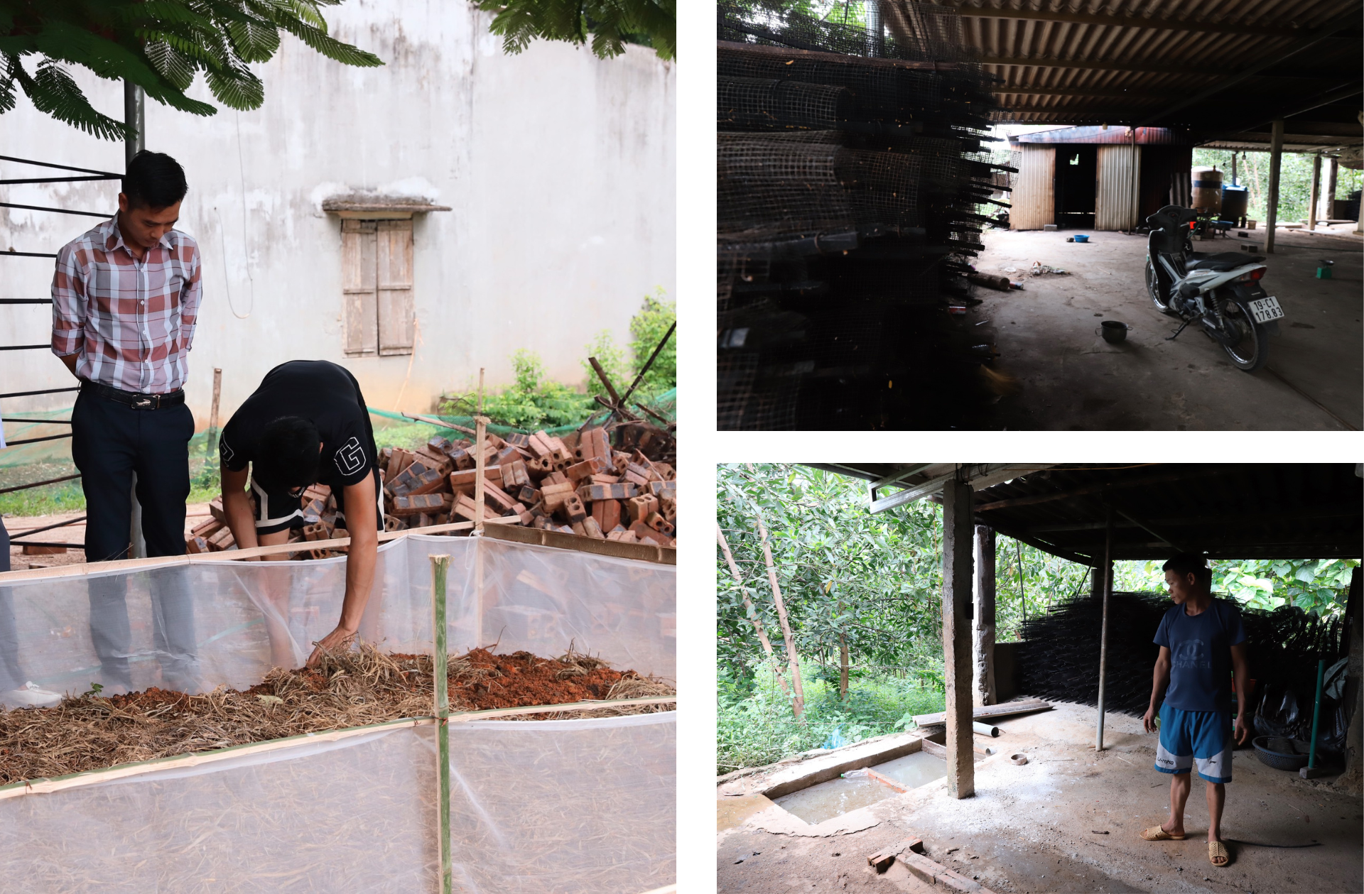 Kỳ 4: Cần có chế tài xử lý