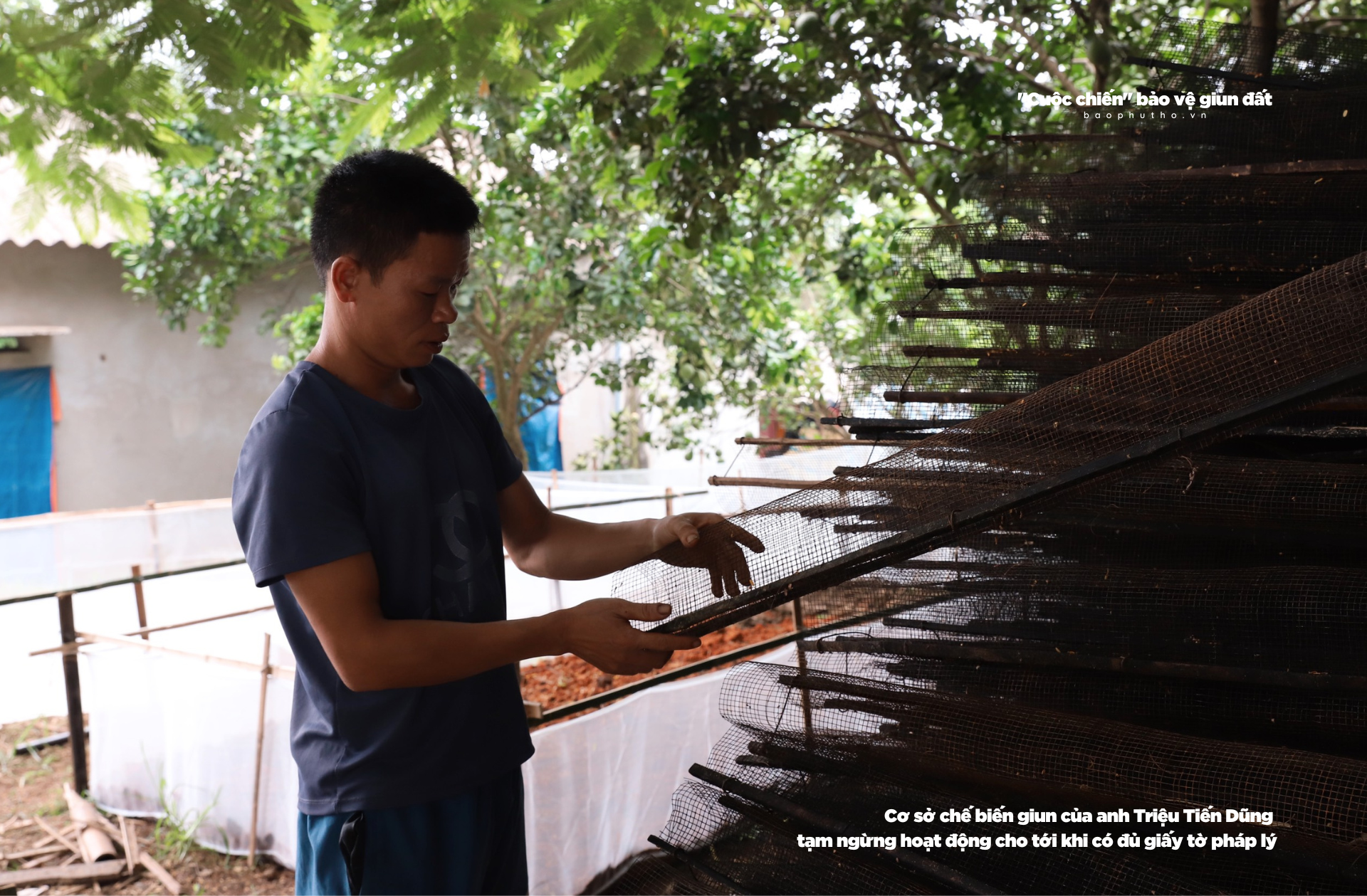 Kỳ 4: Cần có chế tài xử lý