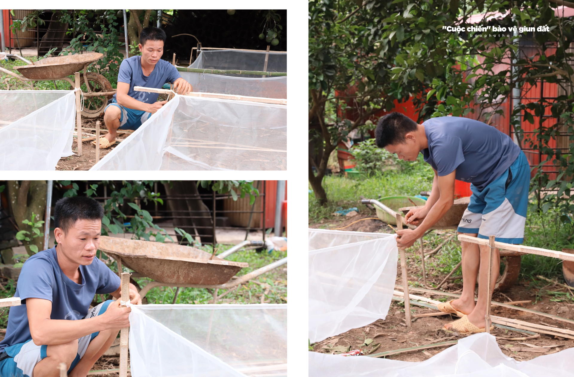 Kỳ 4: Cần có chế tài xử lý