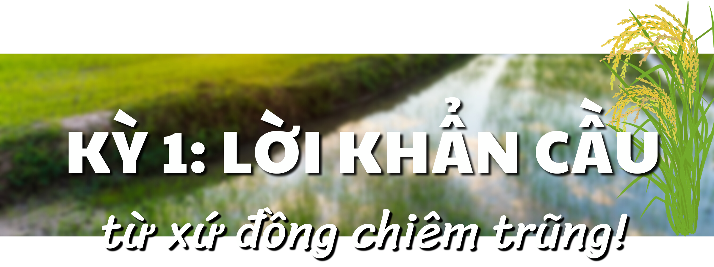 “Xé rào” tạo đột phá