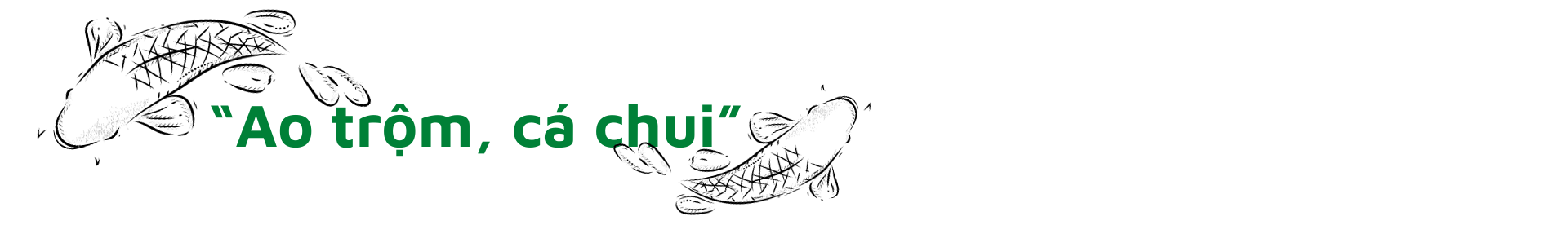 “Xé rào” tạo đột phá