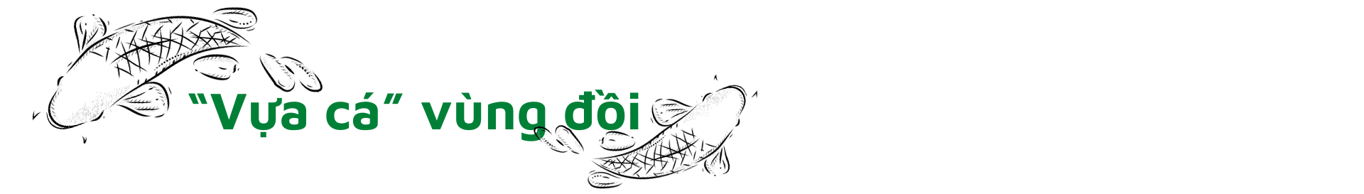 “Xé rào” tạo đột phá