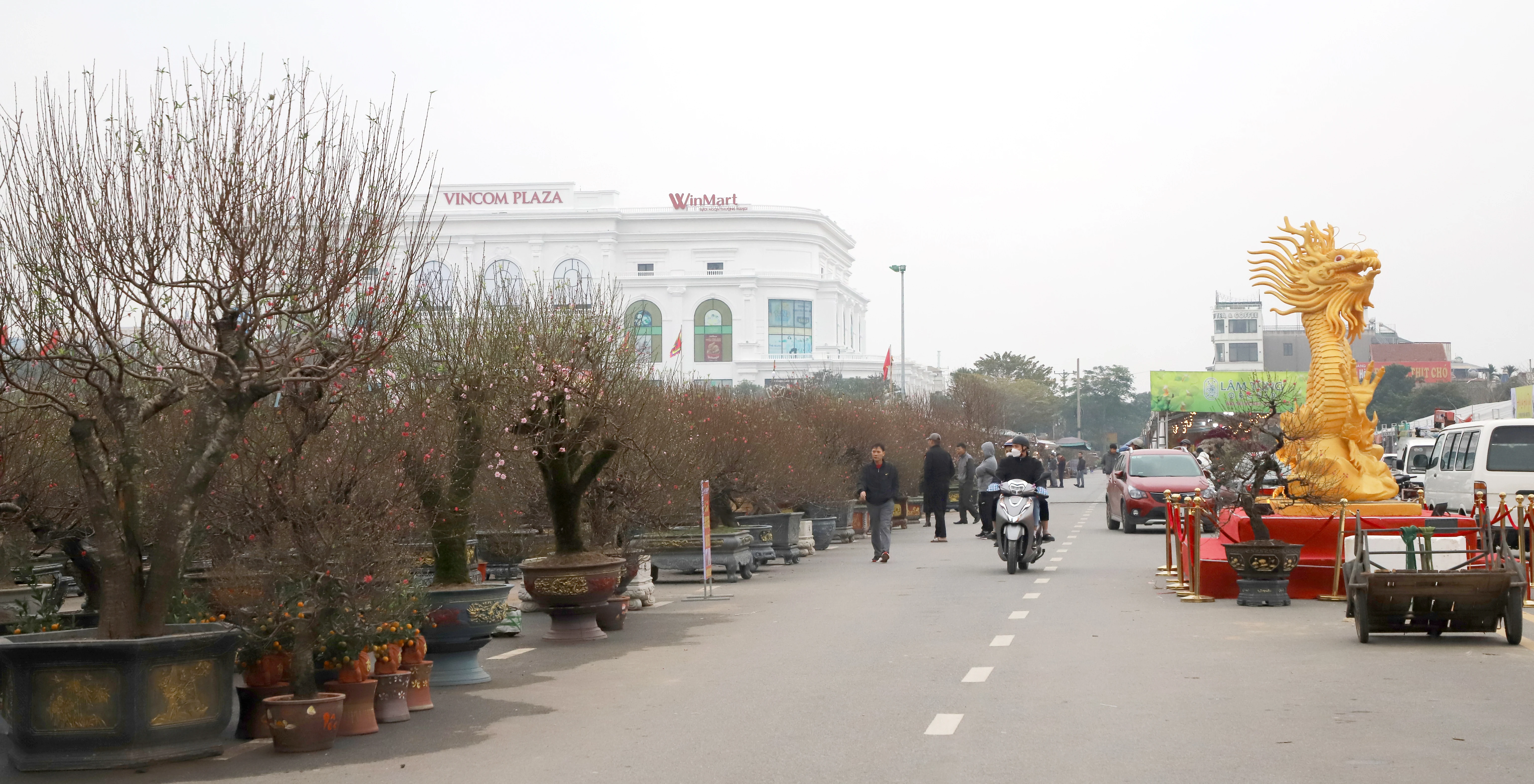 Chợ hoa ngày Tết