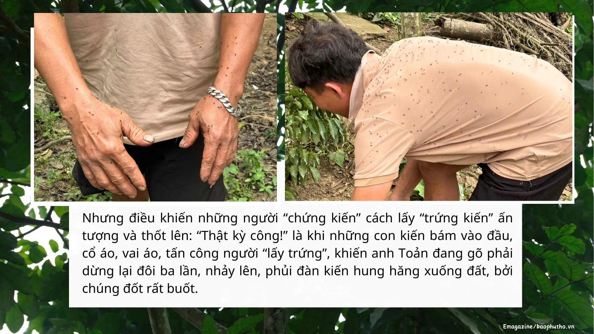 Món ăn cuối xuân của người Mường