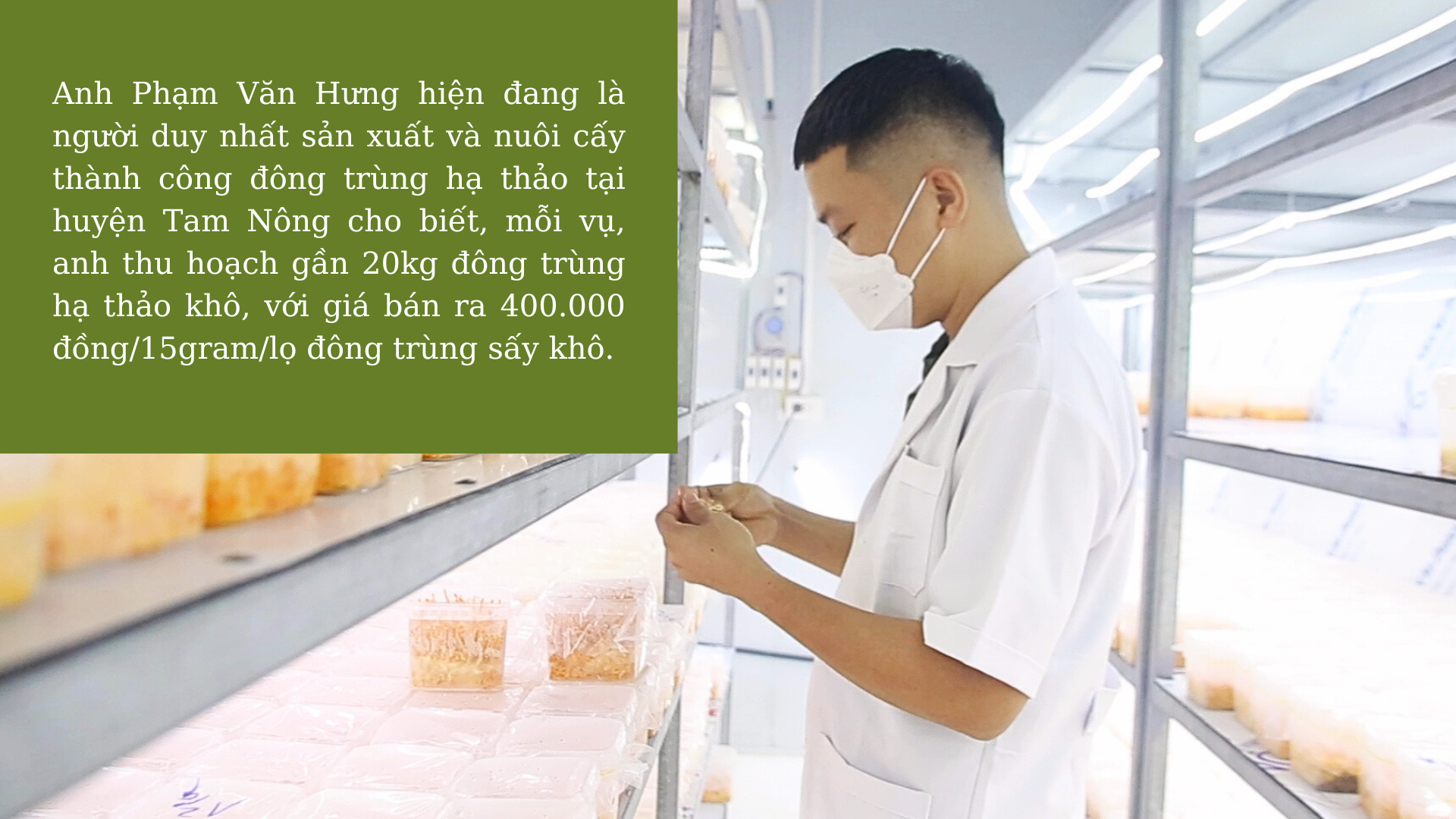 “Vàng mềm” - hướng đi mới cho nông sản Đất Tổ