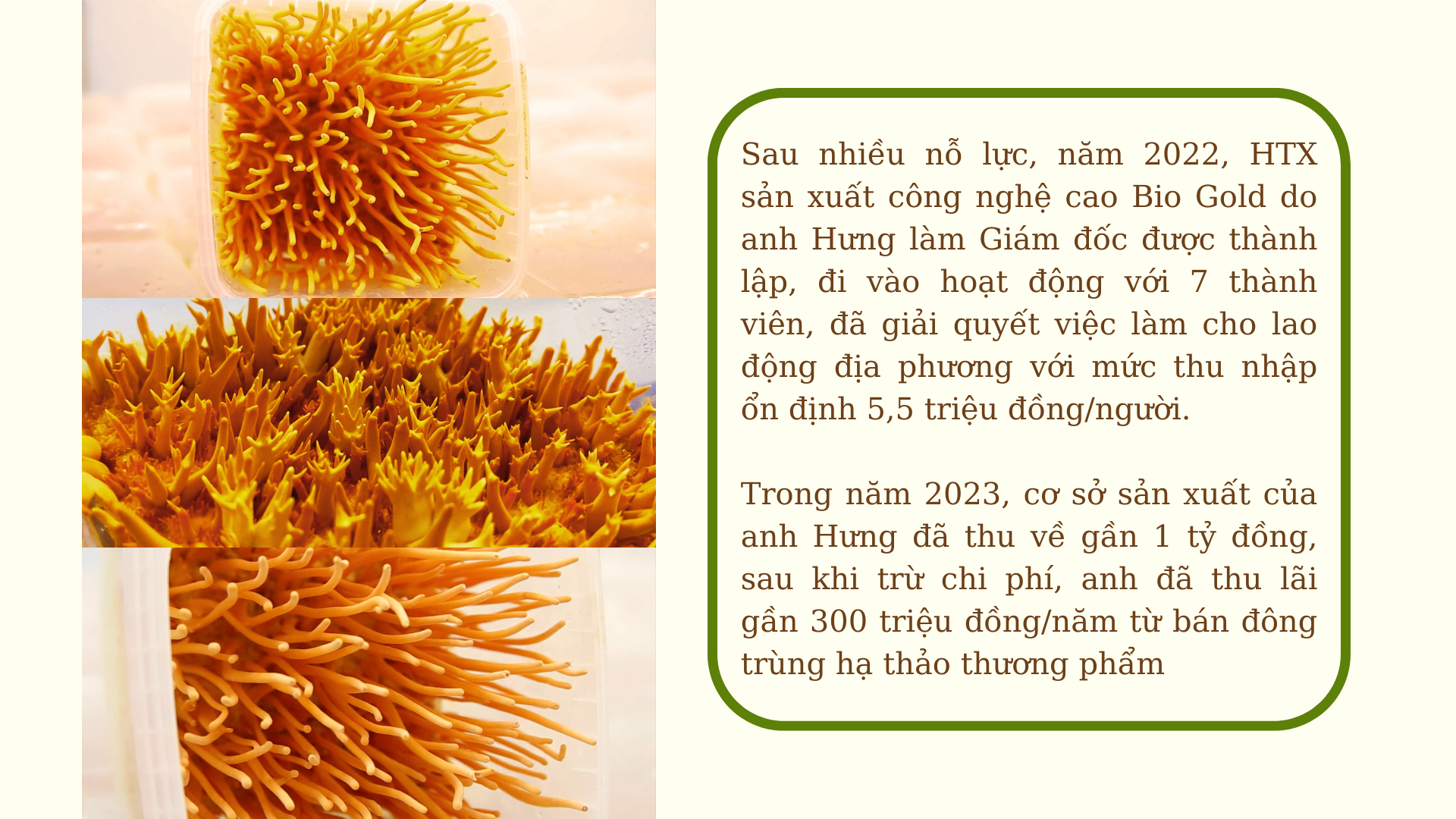 “Vàng mềm” - hướng đi mới cho nông sản Đất Tổ