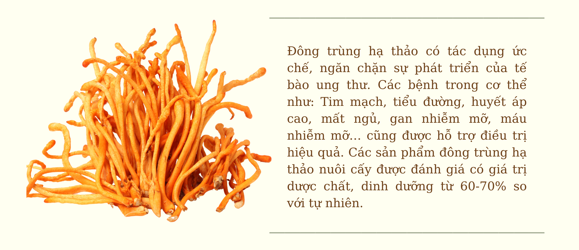 “Vàng mềm” - hướng đi mới cho nông sản Đất Tổ