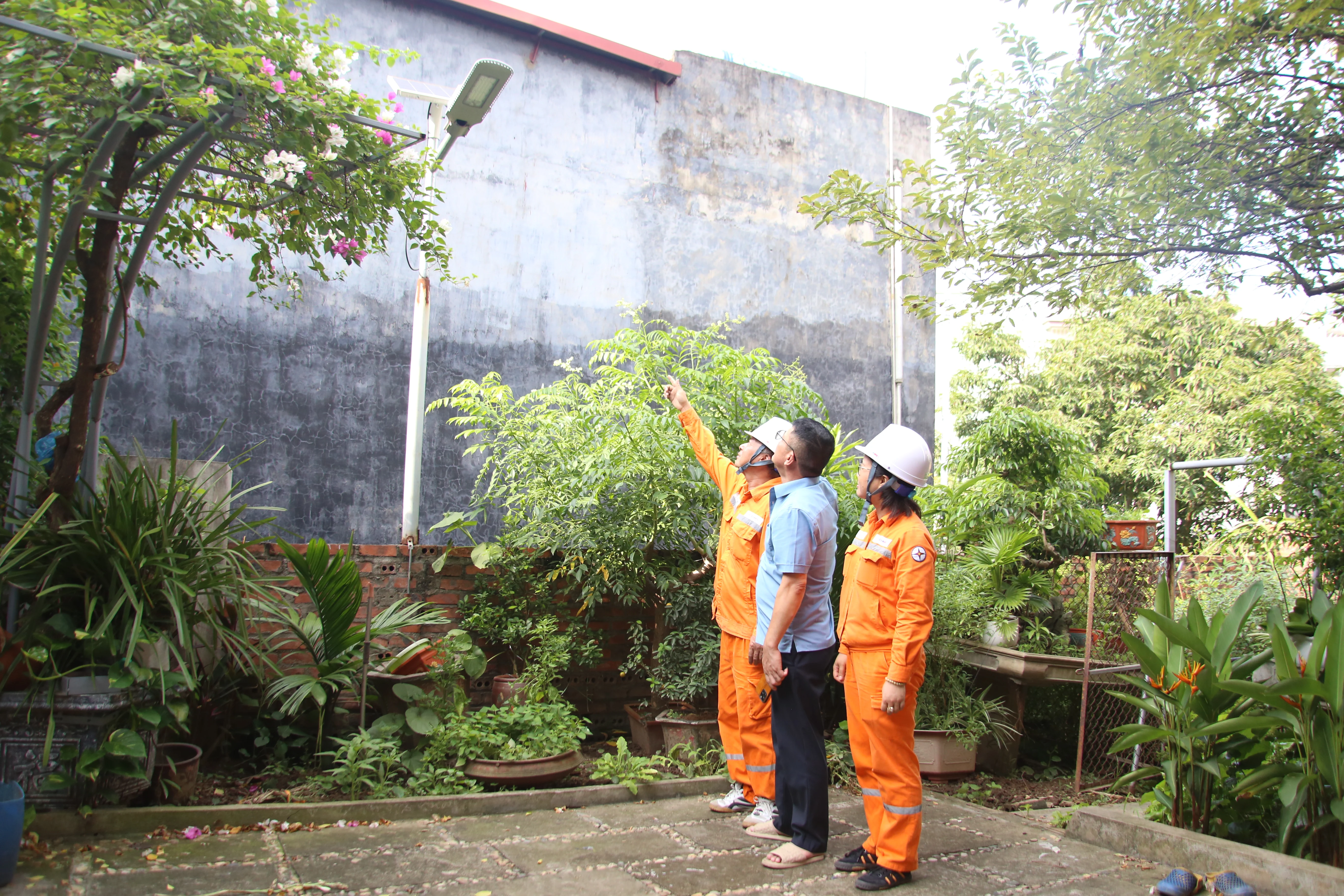 Để năng lượng xanh phát huy hết tiềm năng