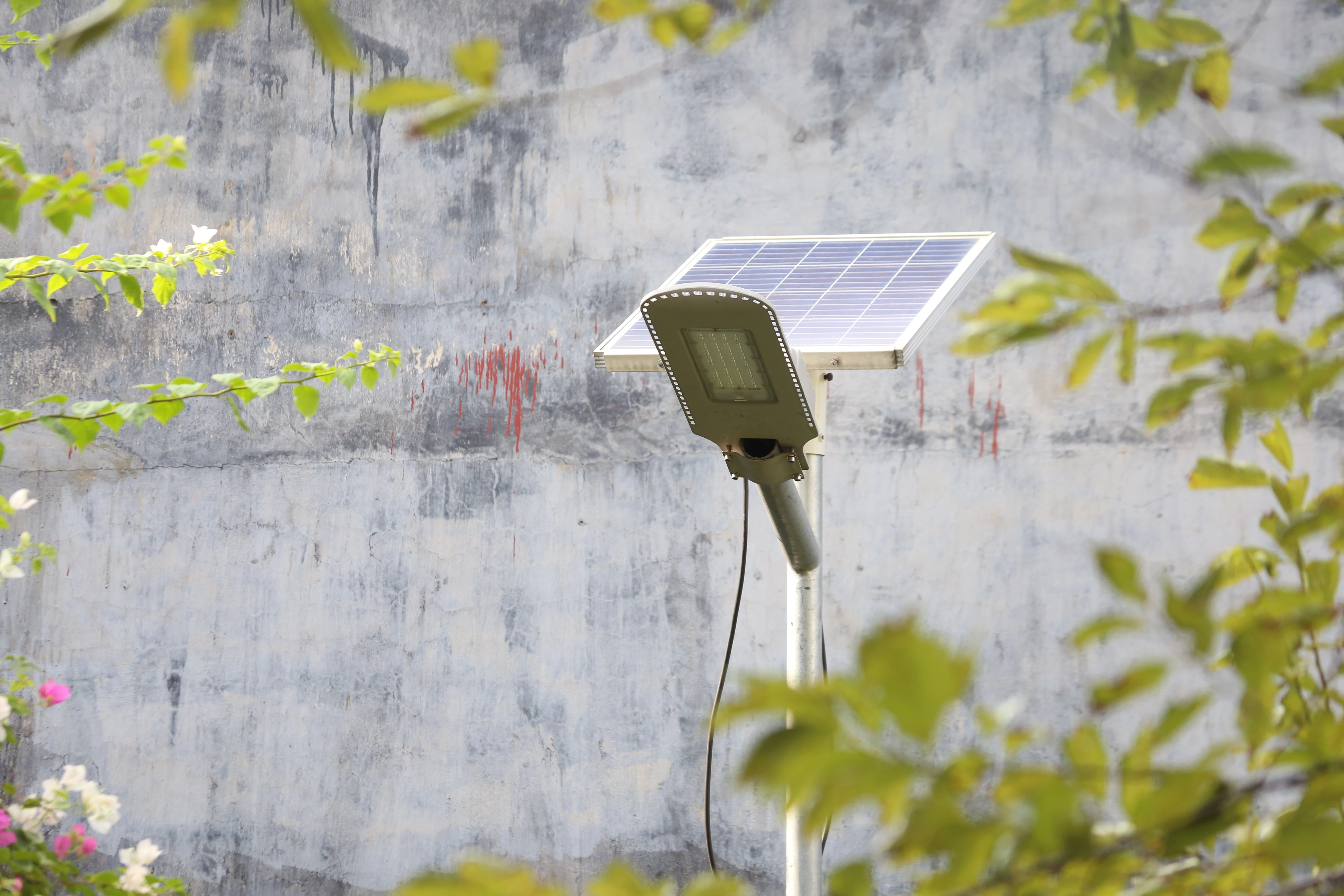 Để năng lượng xanh phát huy hết tiềm năng