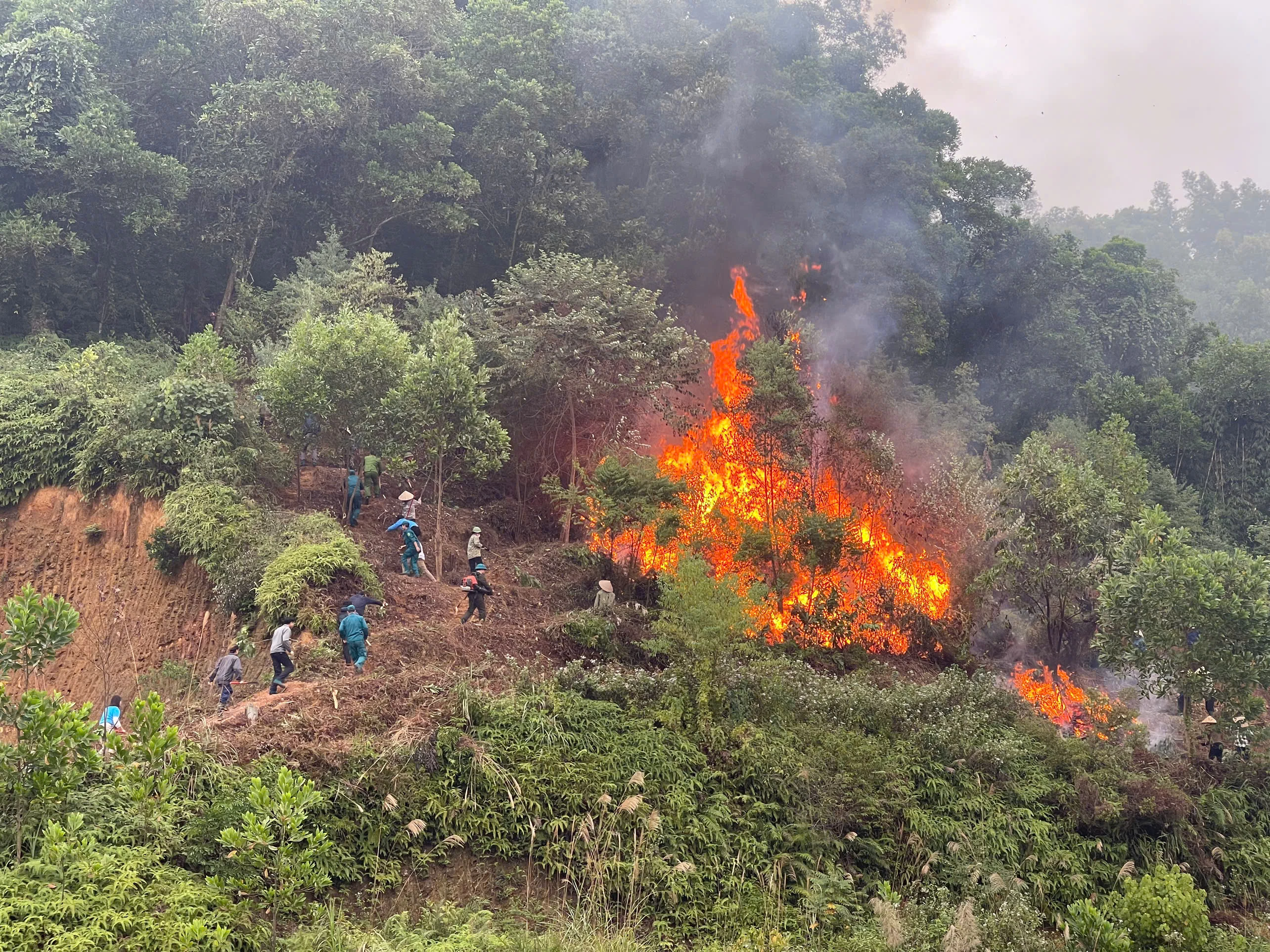 Diễn tập phòng cháy, chữa cháy rừng