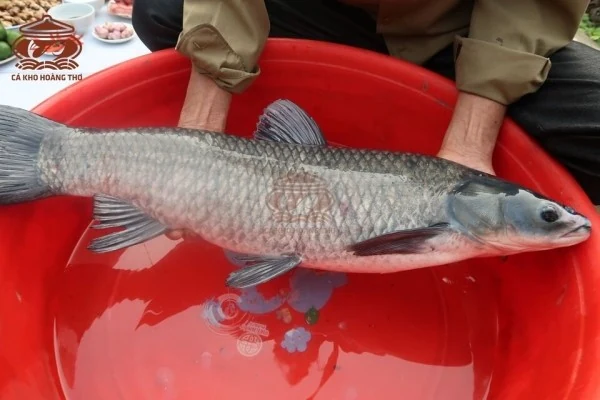 Top 5 món đặc sản Việt Nam không thể bỏ qua: Cá kho làng Vũ Đại dẫn đầu