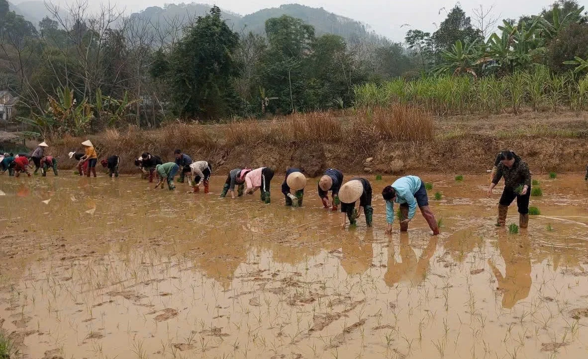 Huyện Tân Sơn chăm lo đời sống phụ nữ
