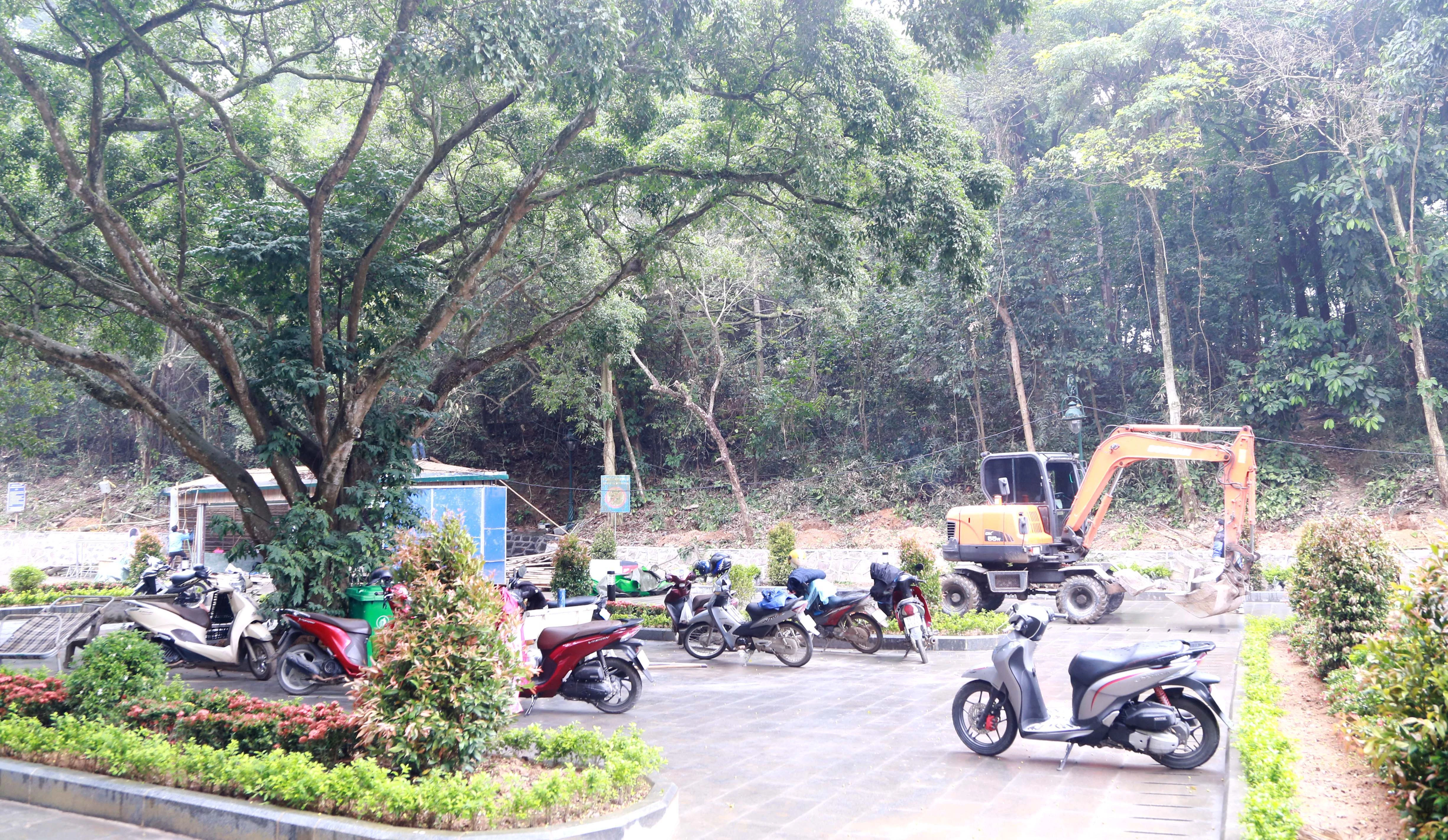 Gần 20 tỷ đồng cải tạo hệ thống cảnh quan khu vực Đền Giếng