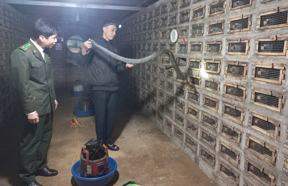 Đổi mới trong quản lý động vật hoang dã