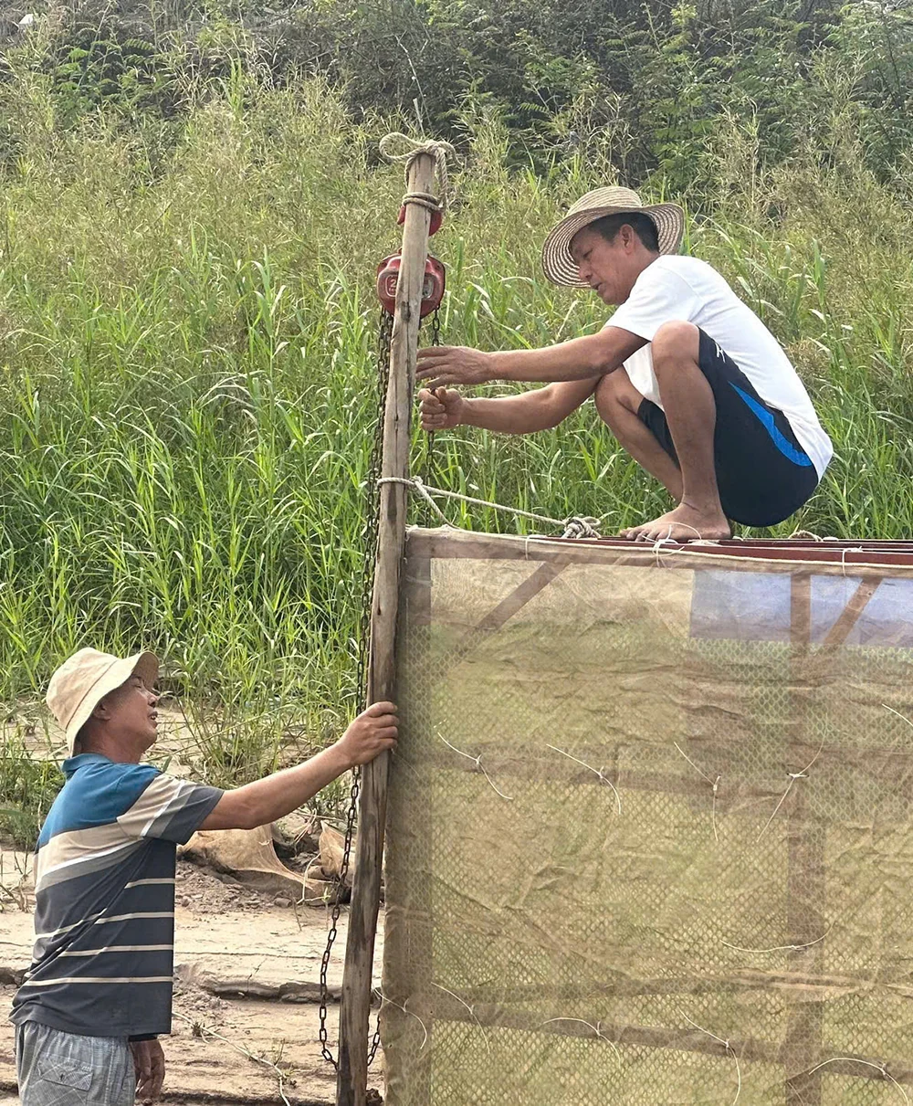 Lận đận...cá tiến Vua