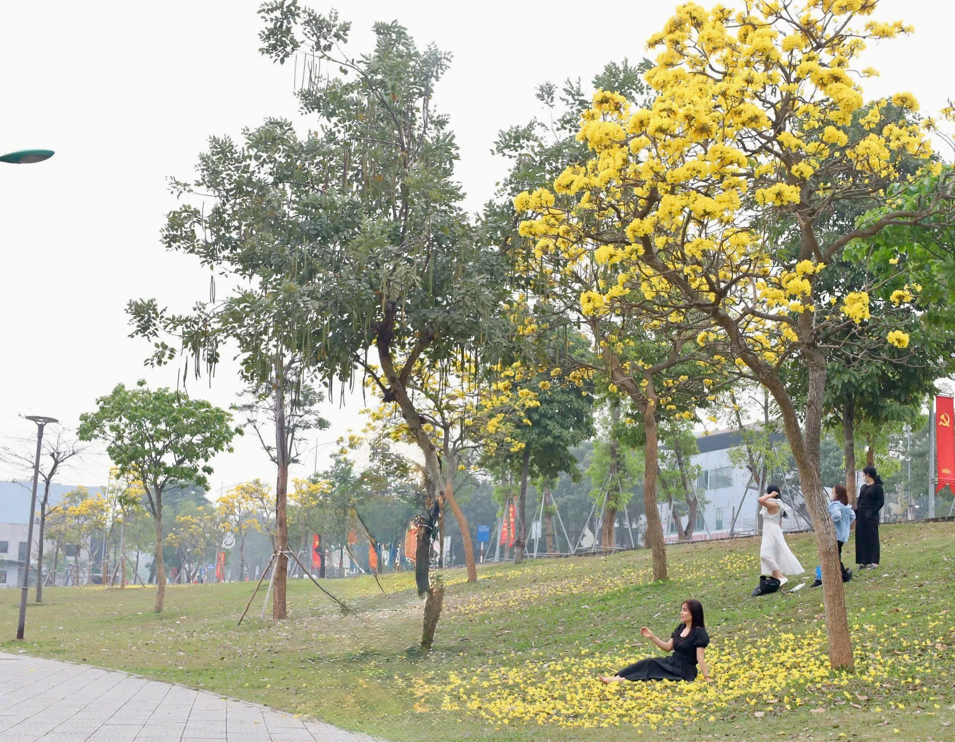 Sắc hoa trên phố