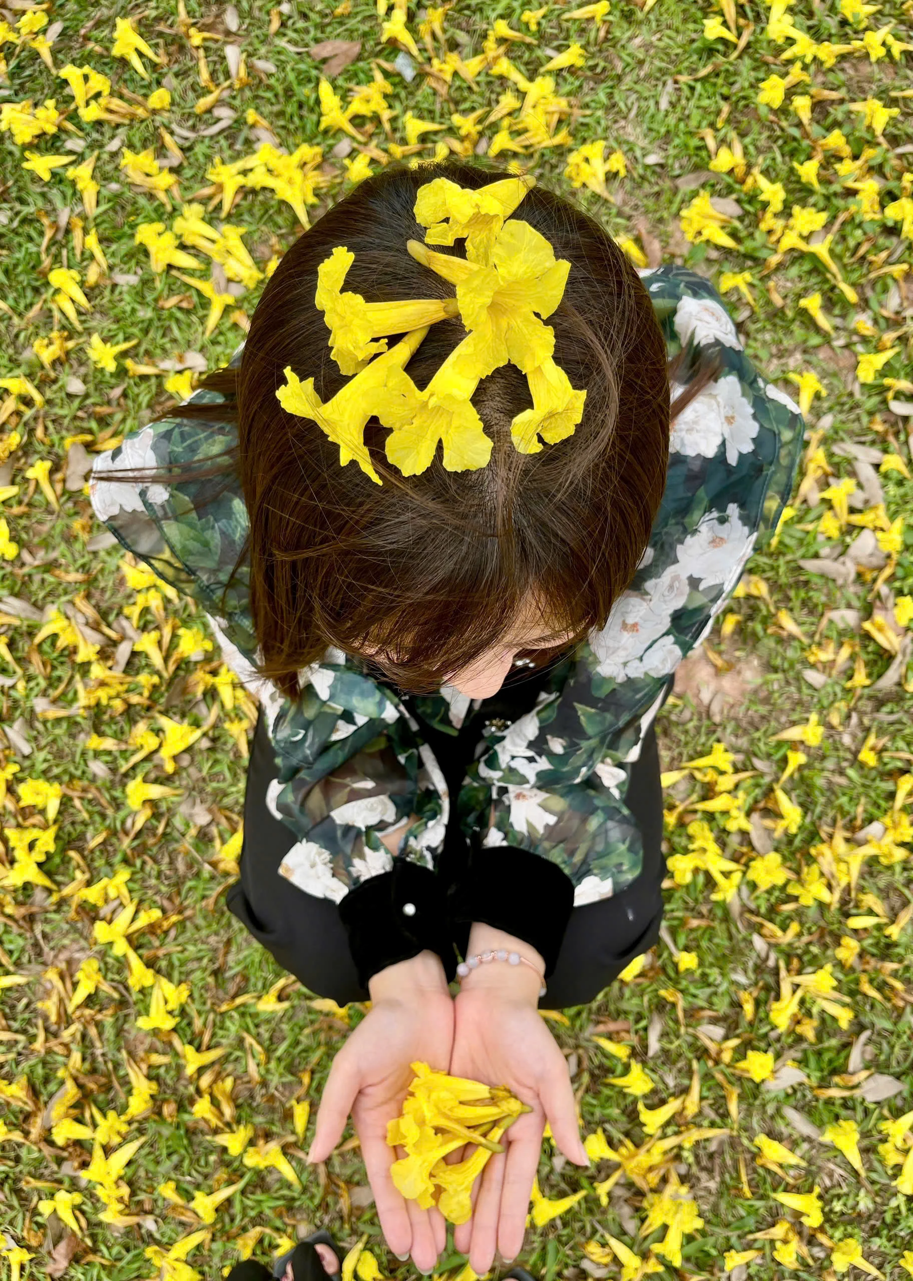 Sắc hoa trên phố