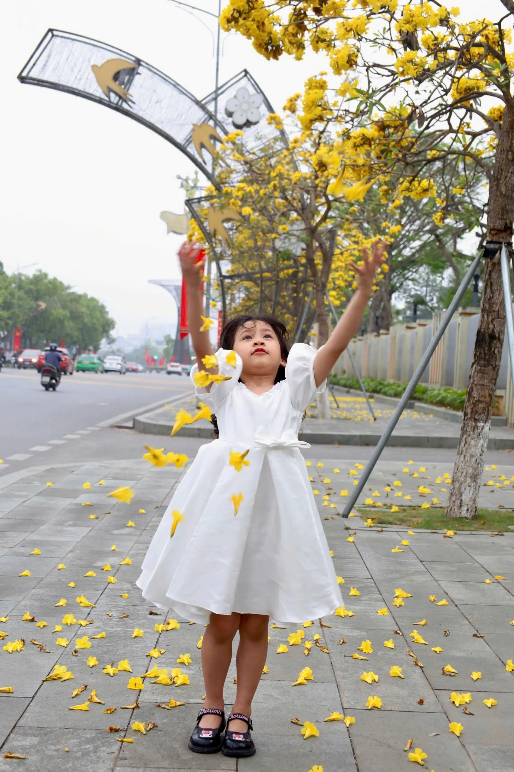 Sắc hoa trên phố