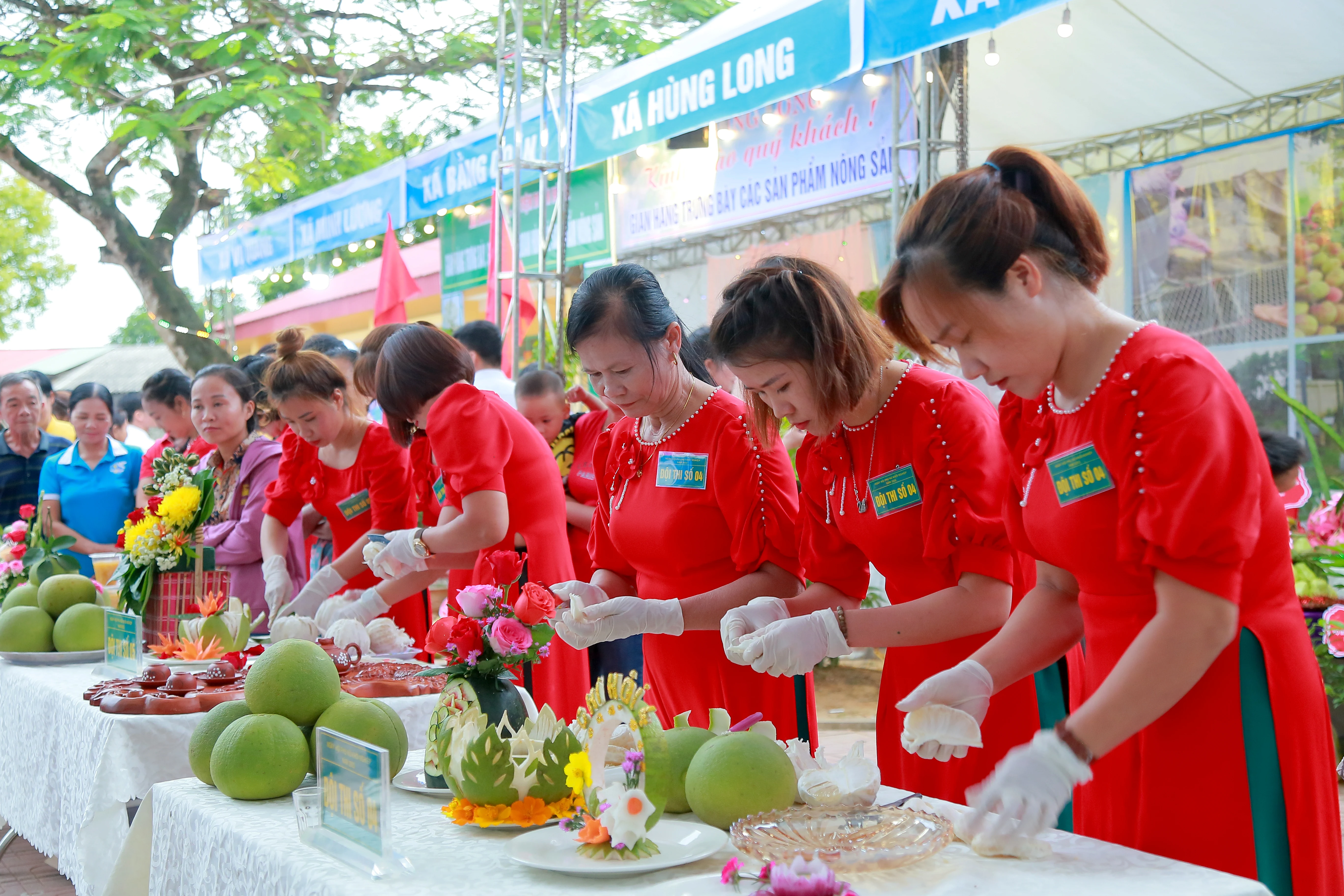 Phát triển kinh tế bền vững từ cây bưởi