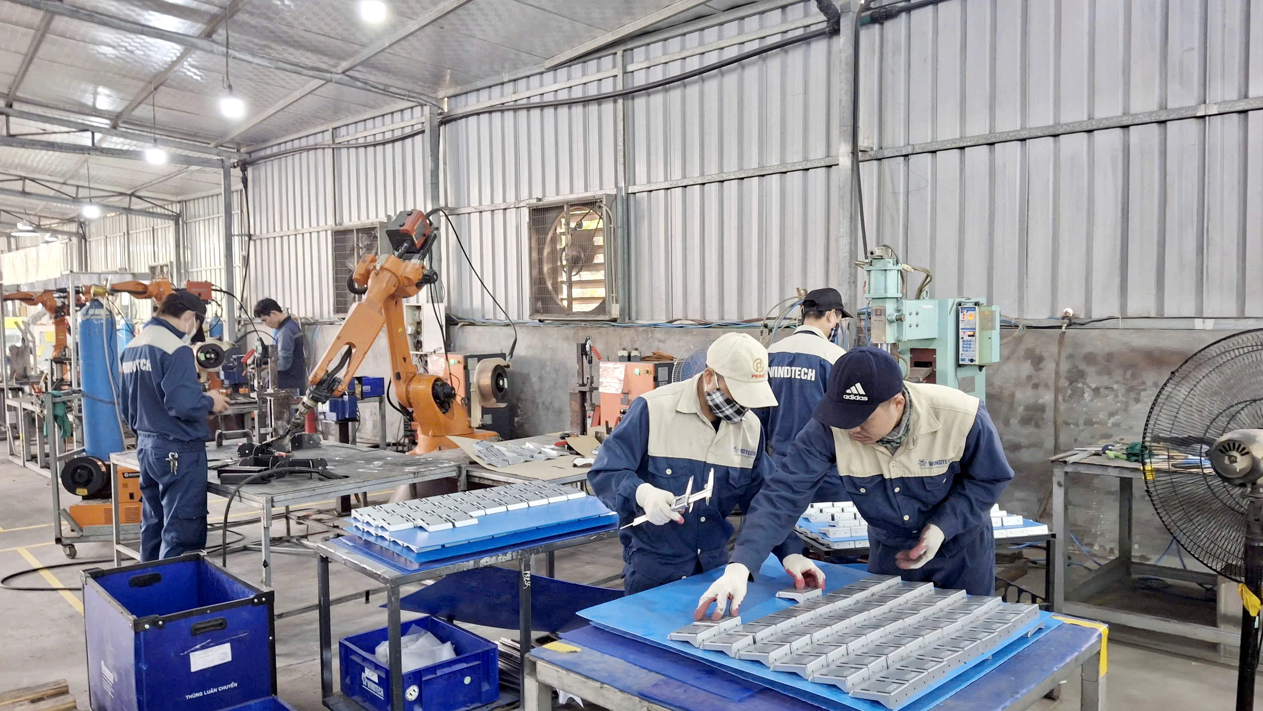 Phân luồng, hướng nghiệp cho học sinh