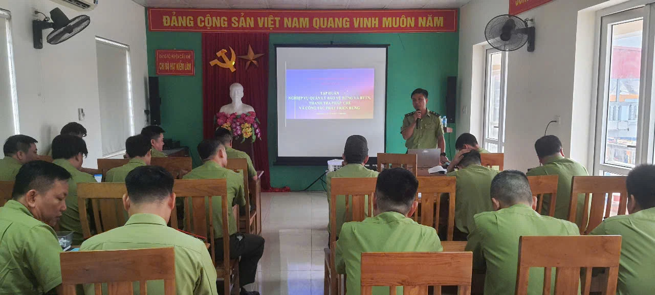 Nâng cao công tác quản lý bảo vệ, phát triển rừng