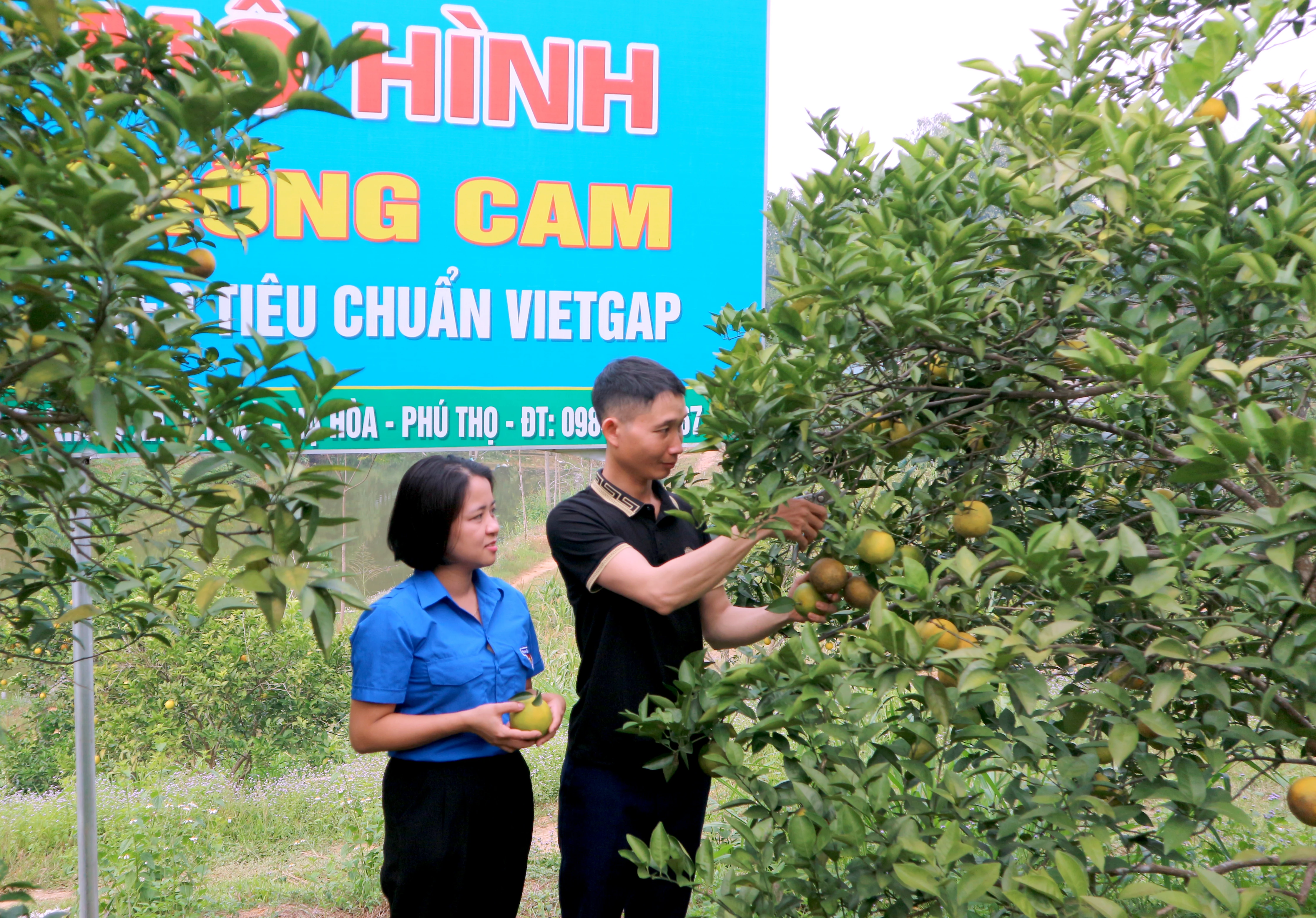 Hạ Hòa xây dựng đời sống văn hóa