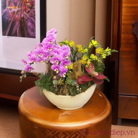 Lễ Phật Đản: Ý nghĩa tặng chậu Lan Hồ Điệp dâng Phật