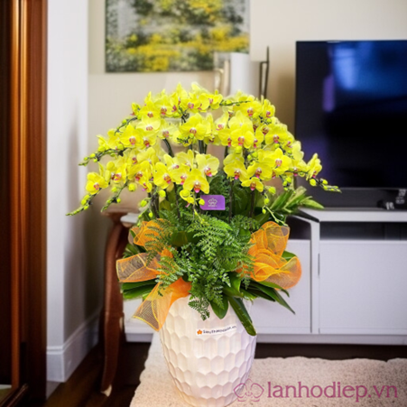 Lễ Phật Đản: Ý nghĩa tặng chậu Lan Hồ Điệp dâng Phật