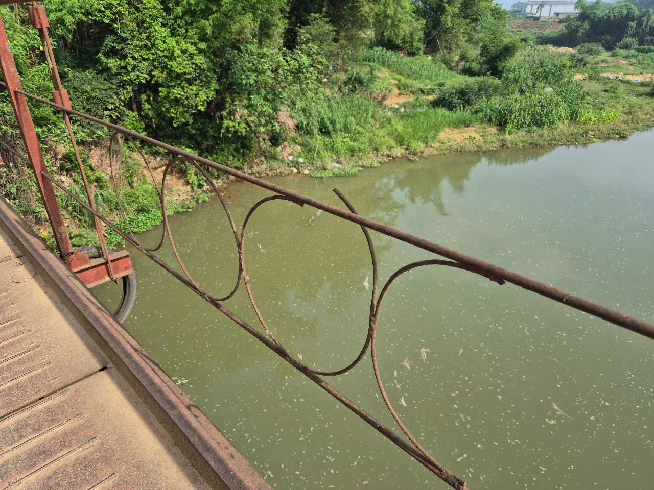 Cần nhanh chóng khắc phục tình trạng xuống cấp của cầu treo Hà Biên