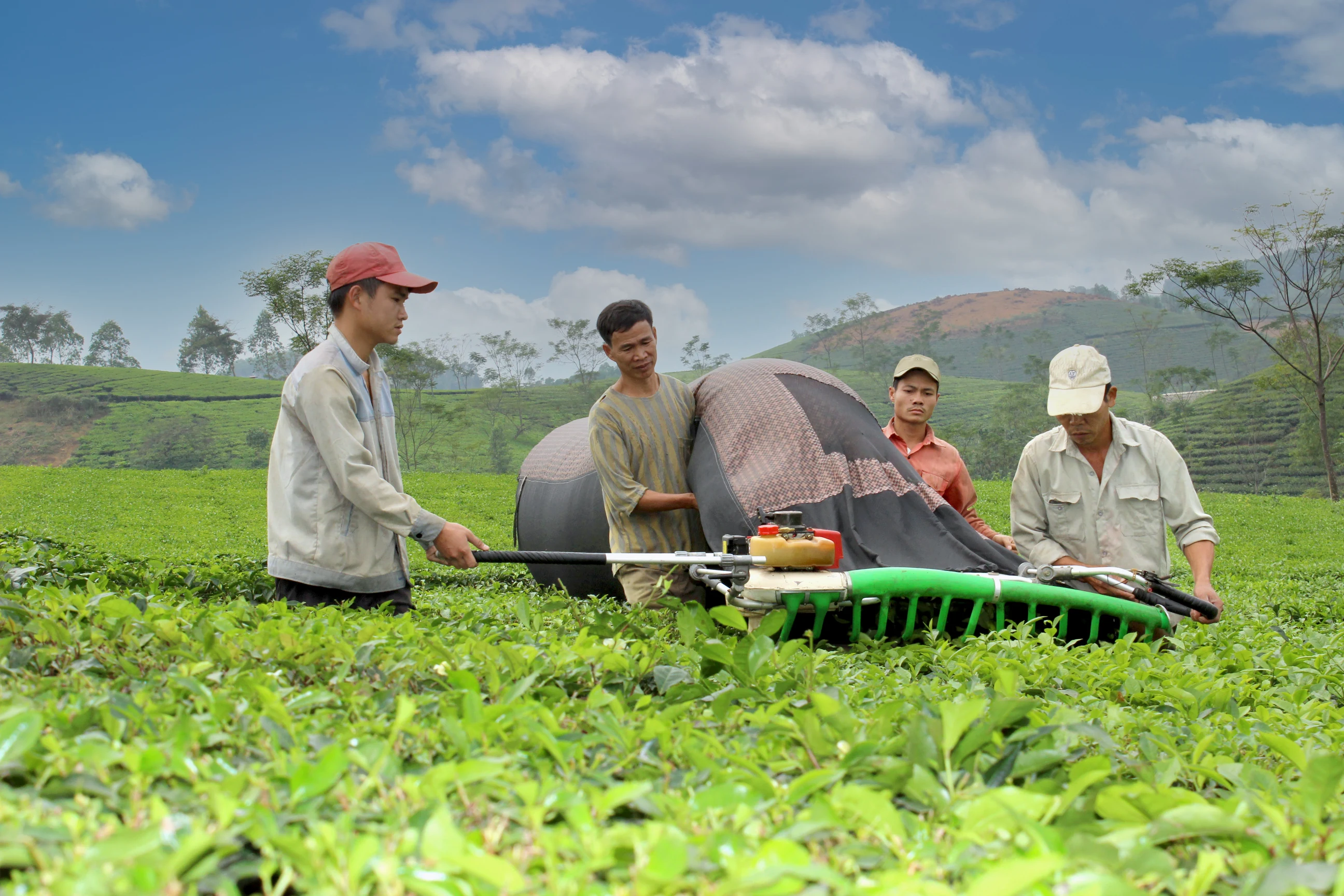 Để hương chè Phú Thọ bay xa