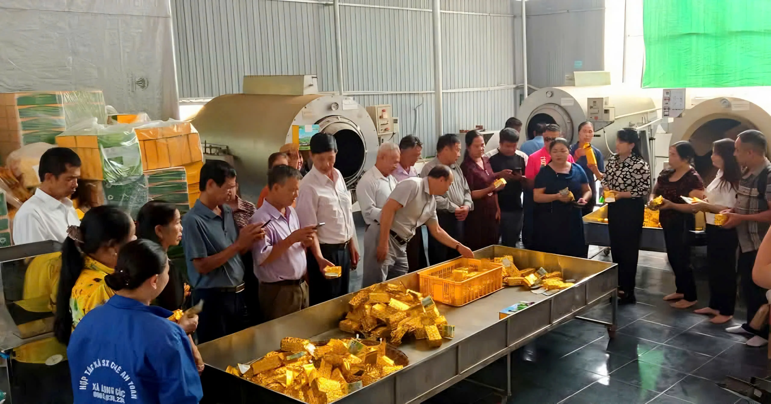 Để hương chè Phú Thọ bay xa