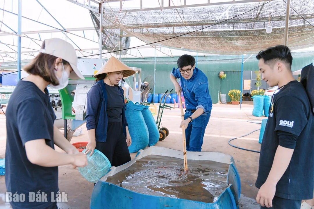 Trải nghiệm du lịch cà phê