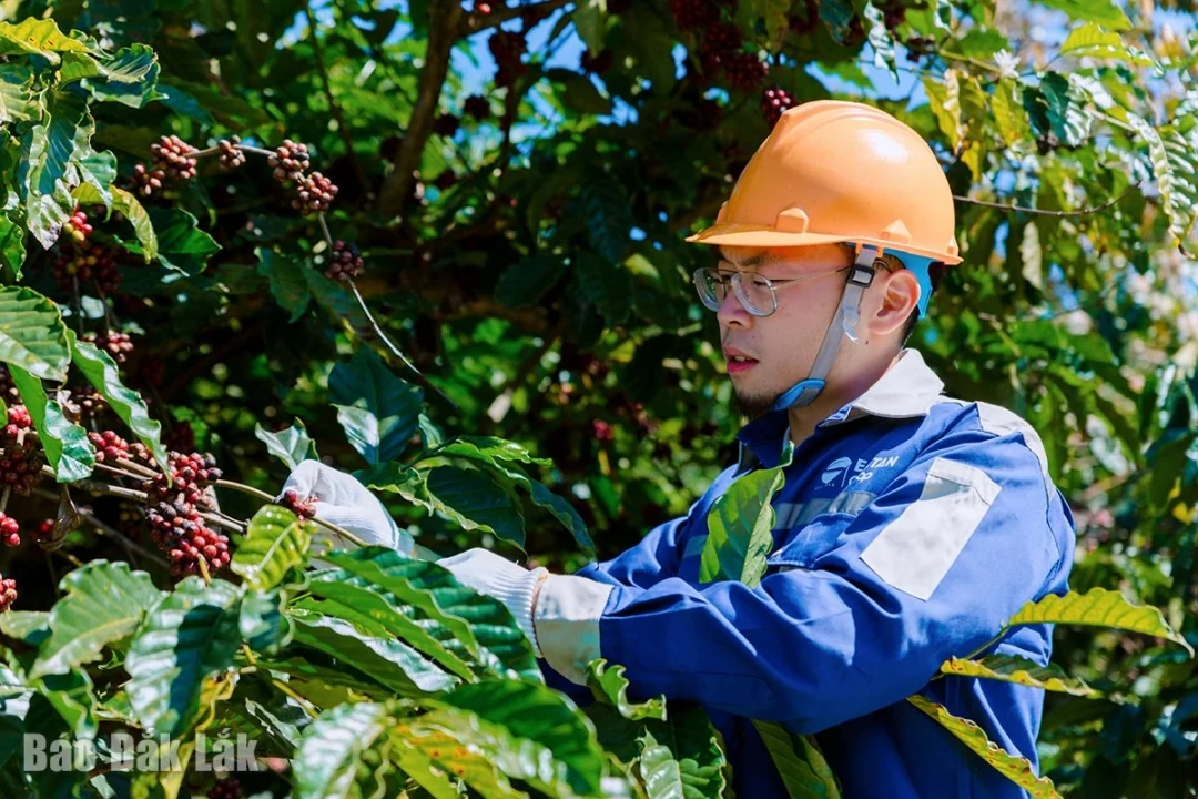 Trải nghiệm du lịch cà phê