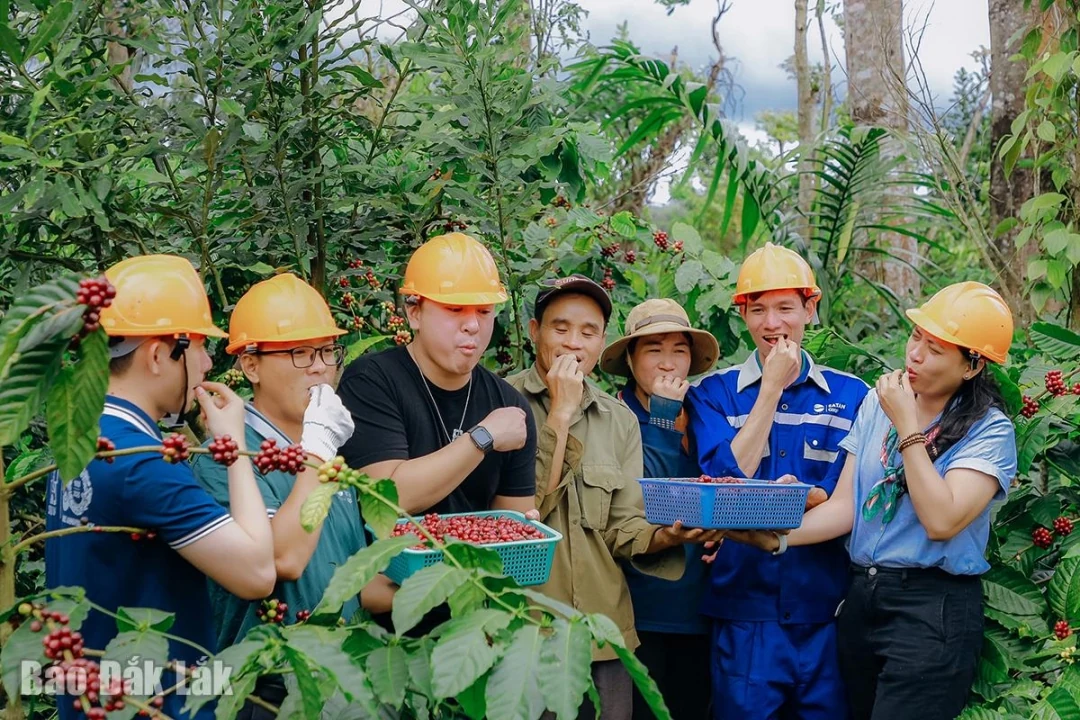 Trải nghiệm du lịch cà phê