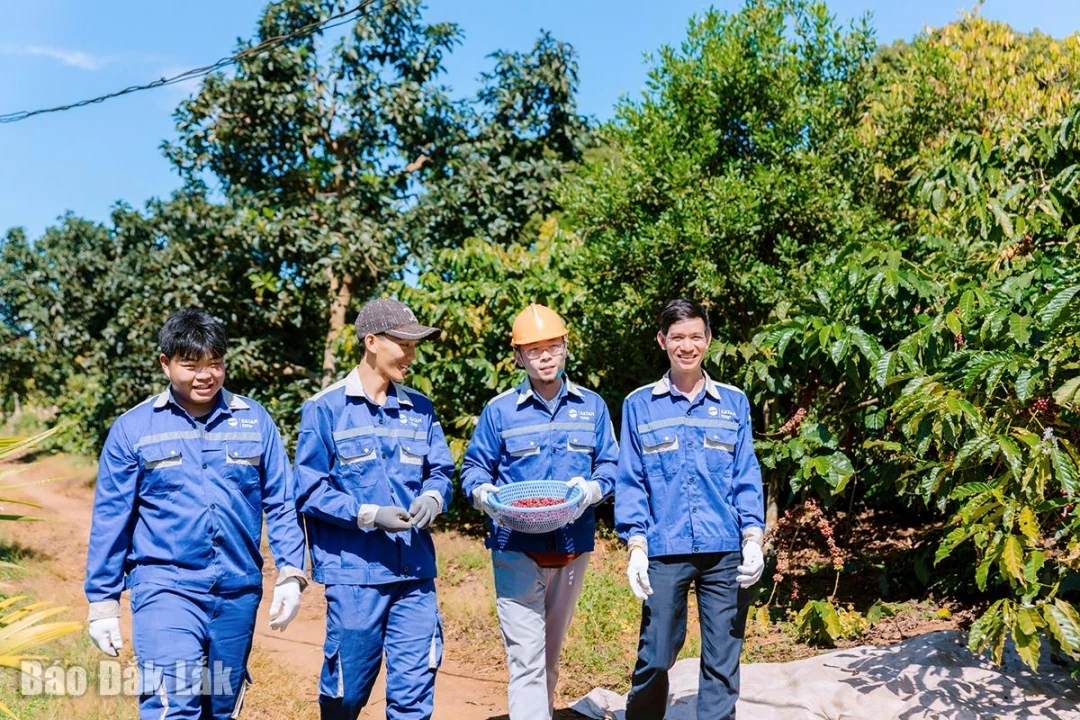 Trải nghiệm du lịch cà phê