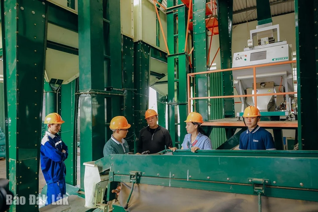 Trải nghiệm du lịch cà phê