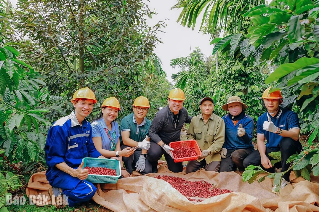 Trải nghiệm du lịch cà phê