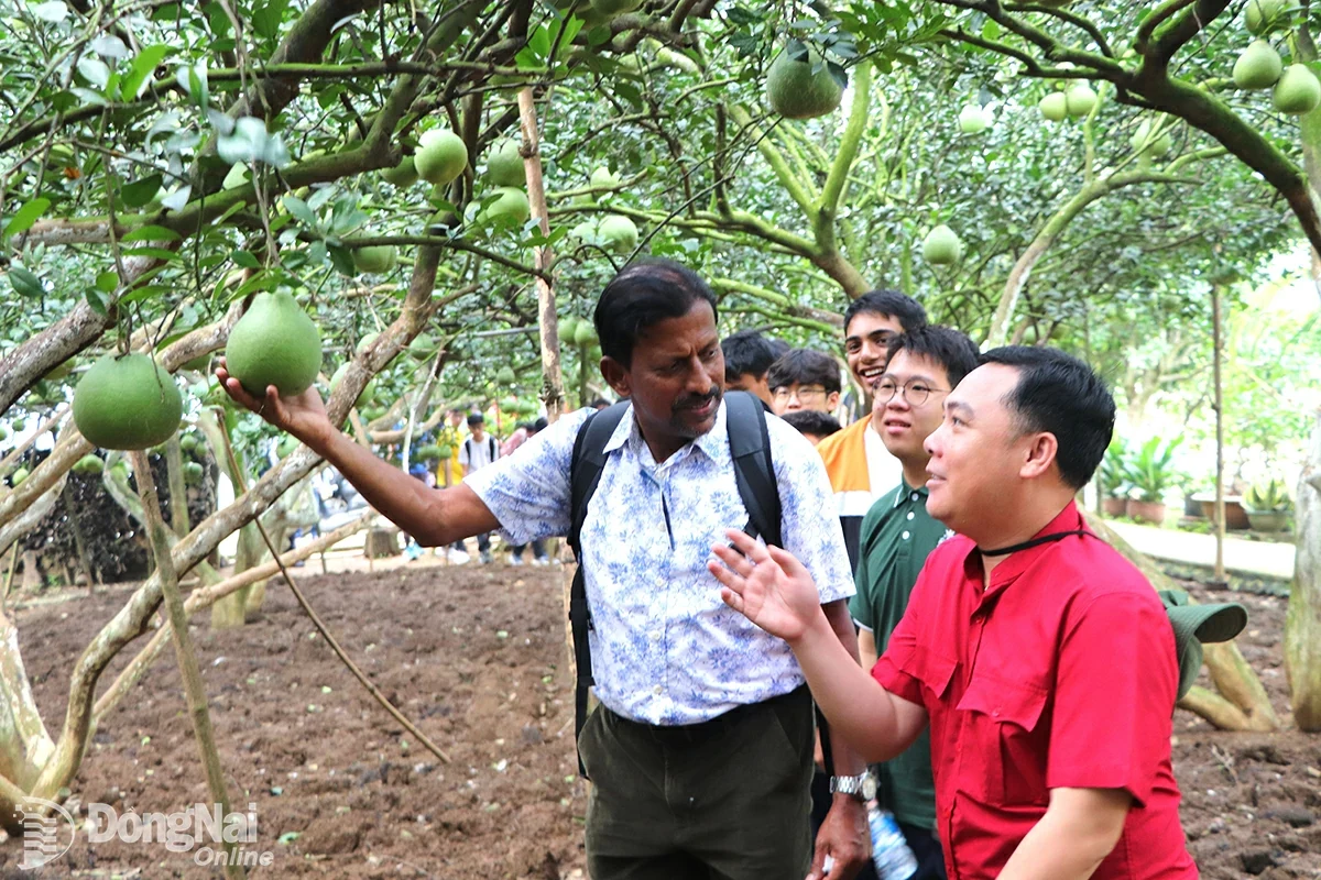 Các giải pháp phát triển du lịch Đồng Nai