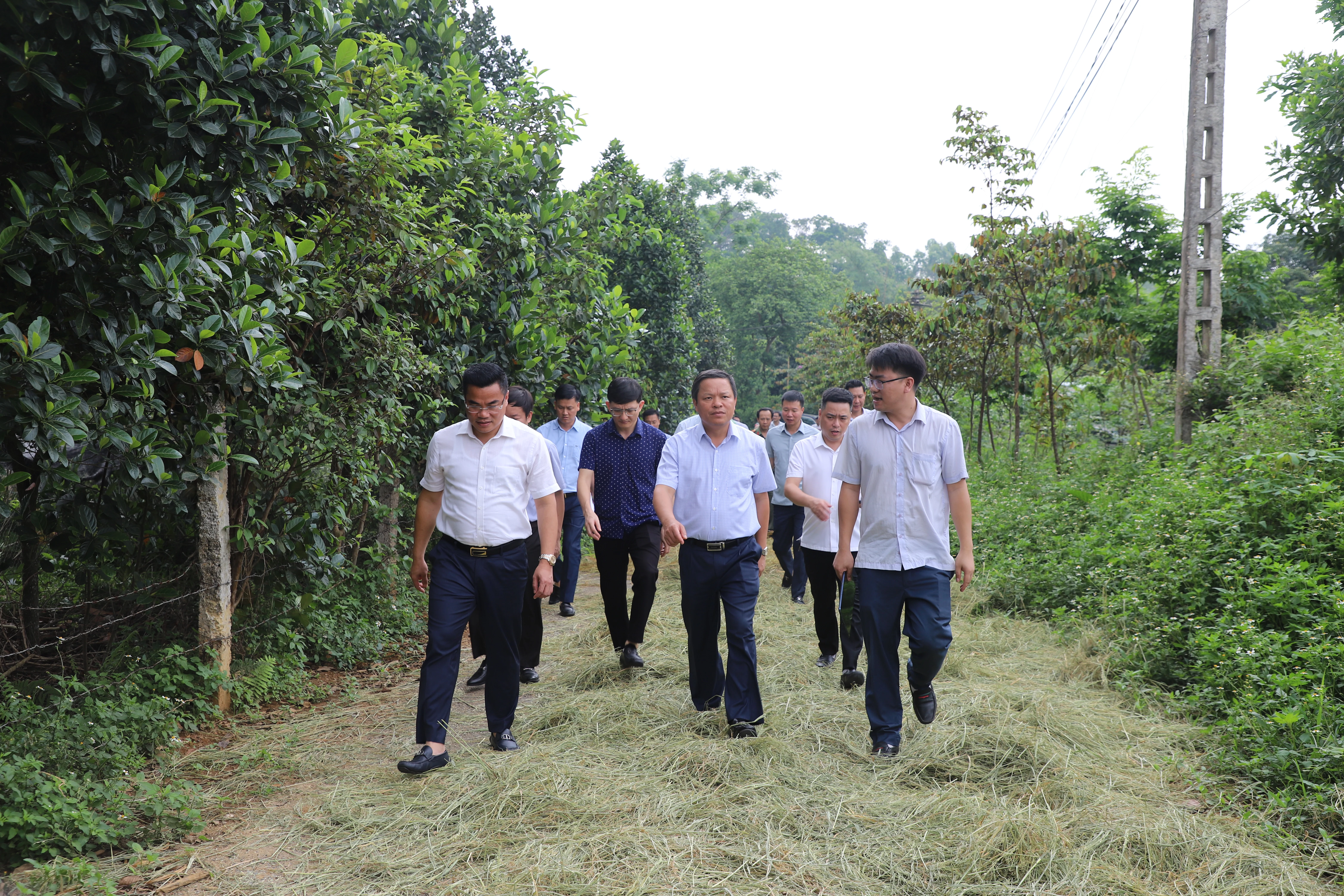 Kiểm tra tiến độ Dự án đầu tư xây dựng tuyến đường sắt Lào Cai - Hà Nội - Hải Phòng