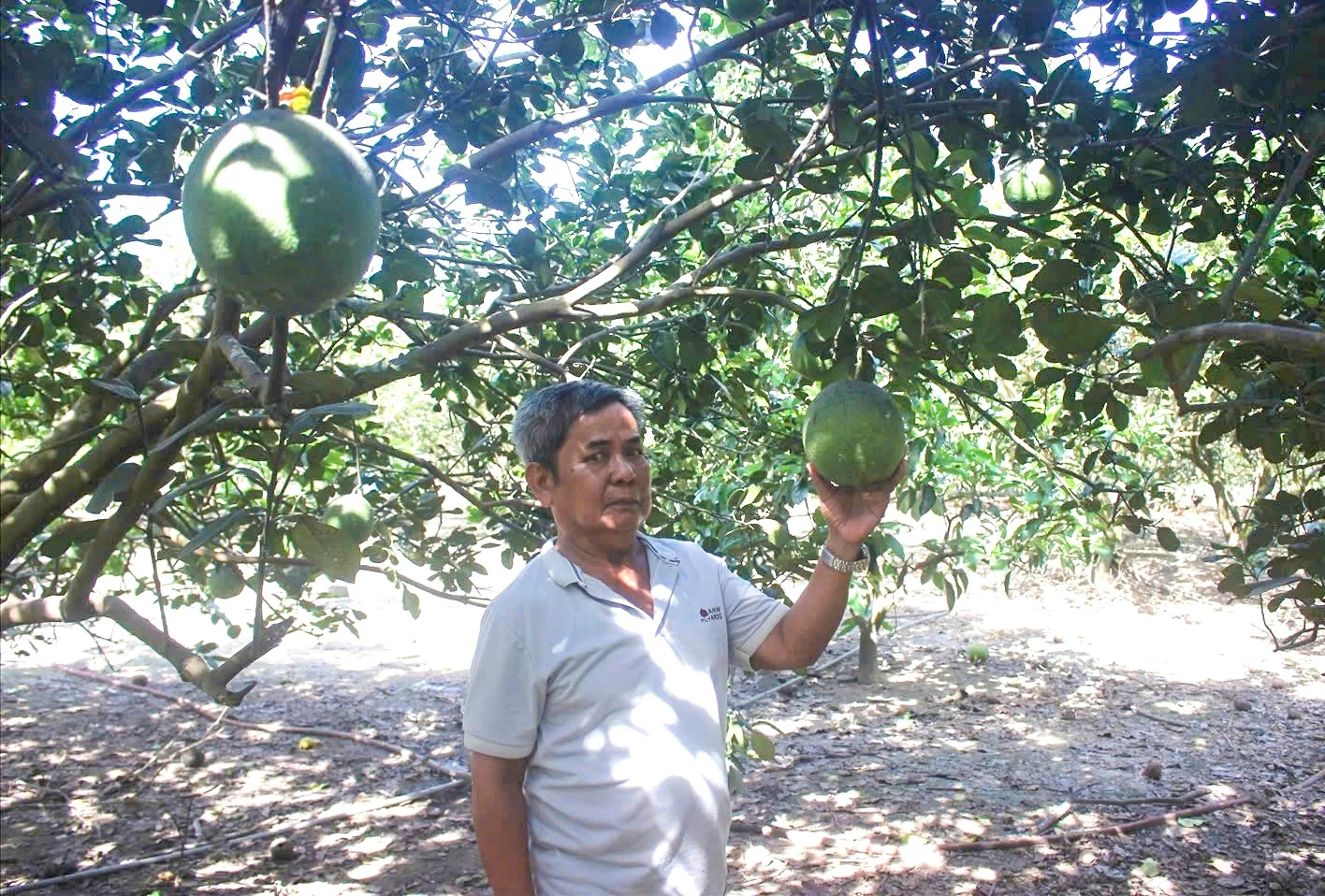 Cuộc sống mới ở thôn Bác Hồ