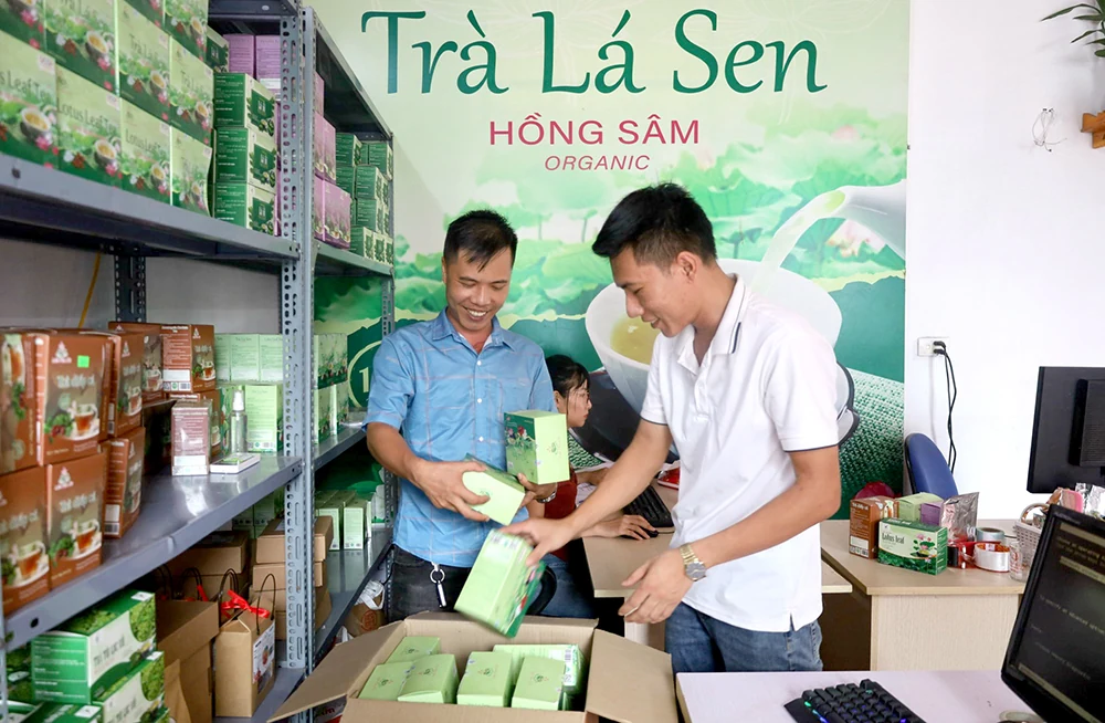 Nâng cao hiệu quả hoạt động của HTX thương mại, dịch vụ