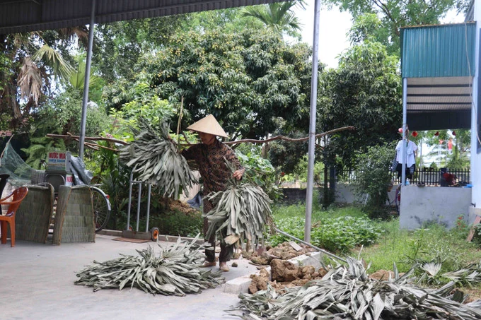 Yên Lạc “giữ lửa” nghề chằm áo tơi truyền thống